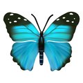 Next Innovations Blue Small Butterfly Wall Art 101410064-BLUE